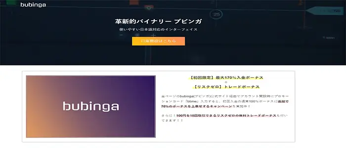 ブビンガバイナリーの偽サイト